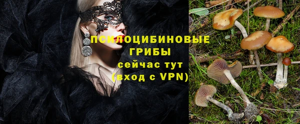 гидропоника Аркадак