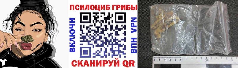 Купить  Менделеевск  Псилоцибиновые грибы мицелий 
