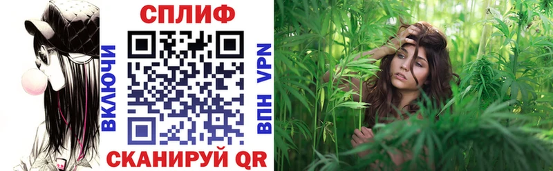 Купить где Менделеевск Бошки марихуана SATIVA & INDICA